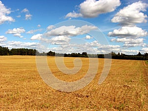 Harvested field photo