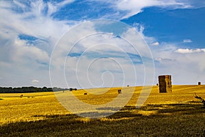 Harvested field with haystacks in the county of Wiltshire, England.