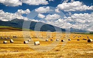 Harvested field with haystacks. Mountains at background