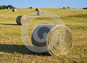 Harvested field with straw bales, Hendaye.