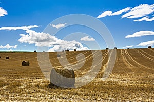 Harvested field with straw bales in Puy-de-Dome department, Auvergne-Rhone-Alpes, France
