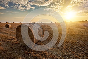 Harvested field with straw bales in summer