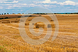 Harvested field with straw bales in summer