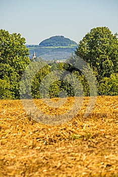 Harvested field of wheat with panormaic view photo