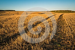 Harvested fields in Embleton Bay