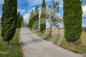 Harvested Fields and meadows landscape in Tuscany, Italy. Wavy country scenery at autumn sunset.