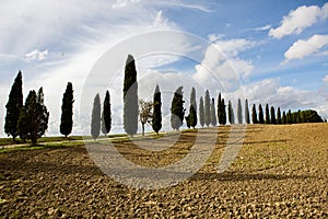 Harvested Fields and meadows landscape in Tuscany, Italy. Wavy country scenery at autumn sunset.