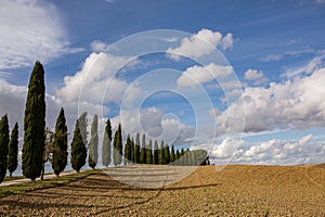 Harvested Fields and meadows landscape in Tuscany, Italy. Wavy country scenery at autumn sunset.