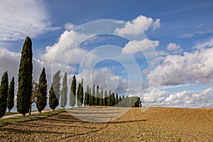 Harvested Fields and meadows landscape in Tuscany, Italy. Wavy country scenery at autumn sunset.