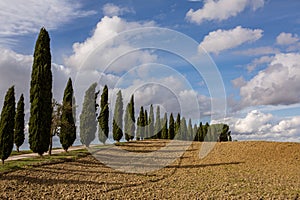 Harvested Fields and meadows landscape in Tuscany, Italy. Wavy country scenery at autumn sunset.