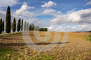 Harvested Fields and meadows landscape in Tuscany, Italy. Wavy country scenery at autumn sunset.