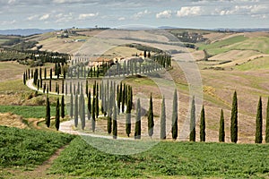 Harvested Fields and meadows landscape in Tuscany, Italy. Wavy country scenery at autumn sunset.