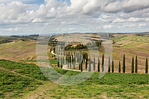 Harvested Fields and meadows landscape in Tuscany, Italy. Wavy country scenery at autumn sunset.