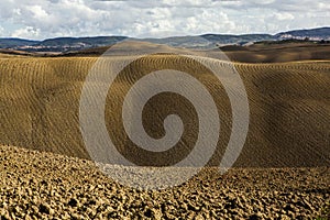 Harvested Fields and meadows landscape in Tuscany, Italy. Wavy country scenery at autumn sunset.