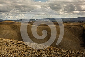 Harvested Fields and meadows landscape in Tuscany, Italy. Wavy country scenery at autumn sunset.