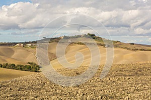 Harvested Fields and meadows landscape in Tuscany, Italy. Wavy country scenery at autumn sunset.