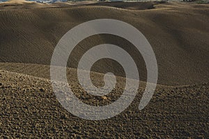 Harvested Fields and meadows landscape in Tuscany, Italy. Wavy country scenery at autumn sunset.