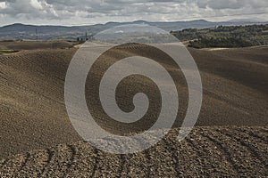 Harvested Fields and meadows landscape in Tuscany, Italy. Wavy country scenery at autumn sunset.