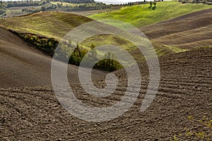 Harvested Fields and meadows landscape in Tuscany, Italy. Wavy country scenery at autumn sunset.