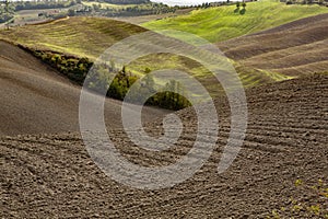 Harvested Fields and meadows landscape in Tuscany, Italy. Wavy country scenery at autumn sunset.