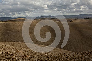 Harvested Fields and meadows landscape in Tuscany, Italy. Wavy country scenery at autumn sunset.