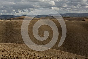 Harvested Fields and meadows landscape in Tuscany, Italy. Wavy country scenery at autumn sunset.