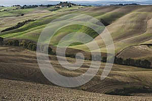 Harvested Fields and meadows landscape in Tuscany, Italy. Wavy country scenery at autumn sunset.