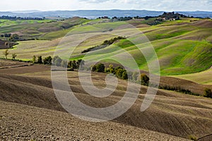 Harvested Fields and meadows landscape in Tuscany, Italy. Wavy country scenery at autumn sunset.