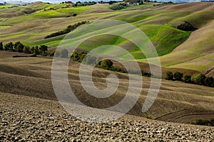 Harvested Fields and meadows landscape in Tuscany, Italy. Wavy country scenery at autumn sunset.