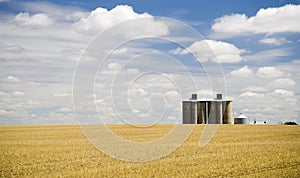 Harvested Fields with Silo photo