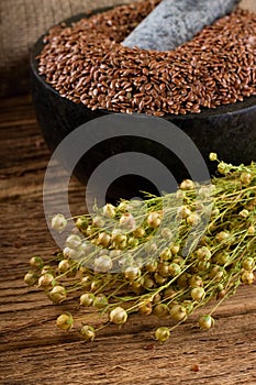 Harvested flax in front of marble mortar