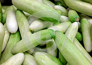 Harvested Fresh Small Cucumber in the Market