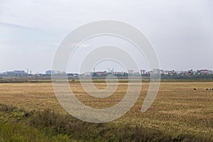 Harvested grain field and Calarasi city 