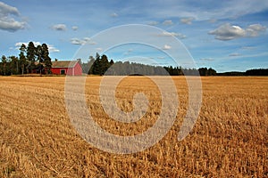 Harvested grainfield photo