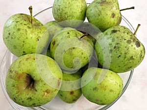 Harvested Green Apples