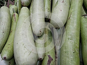 Raccolto verde verdura una bottiglia zucca zucca zucca 