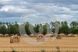 Harvested land with bales of hay with smileys