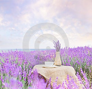 Harvested lavender flowers photo