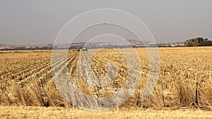 Harvested maize land in Potchefstroom, North West, South Africa.