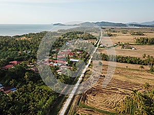 Harvested paddy field at Kuala Muda