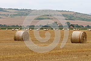 Reducir arrollado pacas de heno colocar en 