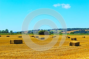 Harvested summer field bales Rother District East Sussex