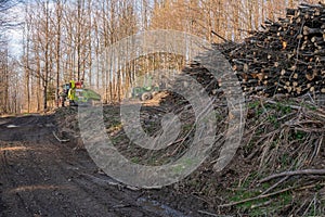 Harvested timber and harvesters in Polana mountains near Hrochot village