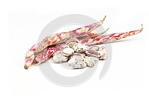 Harvested uncooked dried roman beans with raw pod plant isolated on white background