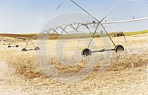 An harvested wheat field and a pivot irrigation system