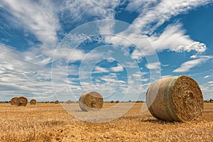 Harvested wheat fields