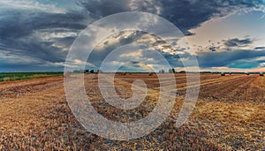 Harvested wheat fields over cloudy sky