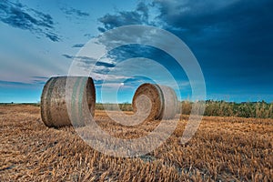 Harvested wheat fields over cloudy sky