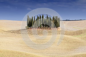 Harvested wheat fields, ploughed field and cypress trees, landscape near Montalcino, Province of Siena, Toscany, Italy, Europe