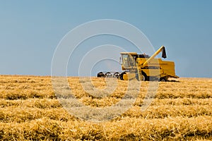 Harvester in action